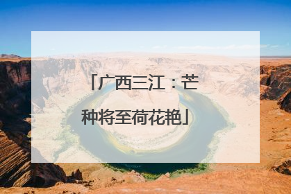 广西三江：芒种将至荷花艳