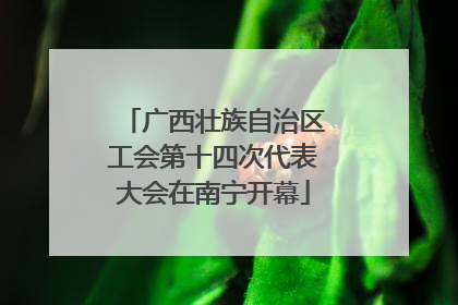 广西壮族自治区工会第十四次代表大会在南宁开幕