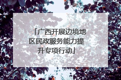 广西开展边境地区民政服务能力提升专项行动