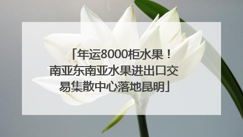 年运8000柜水果！南亚东南亚水果进出口交易集散中心落地昆明