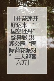 并蒂莲开好运来 “星空牡丹”绽异彩 洪湖公园“国际荷花派对”三天迎客六万