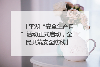 平湖“安全生产月”活动正式启动，全民共筑安全防线