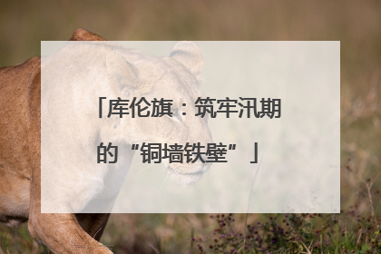 库伦旗：筑牢汛期的“铜墙铁壁”