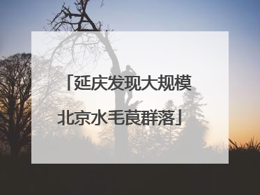 延庆发现大规模北京水毛茛群落
