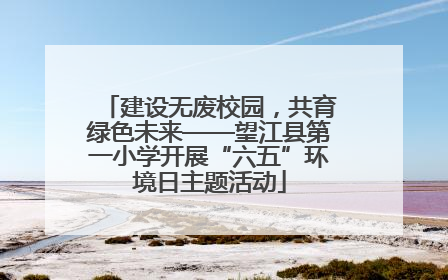 建设无废校园，共育绿色未来——望江县第一小学开展“六五”环境日主题活动