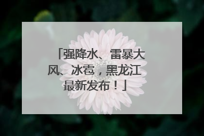 强降水、雷暴大风、冰雹，黑龙江最新发布！