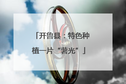 开鲁县：特色种植一片“薯光”