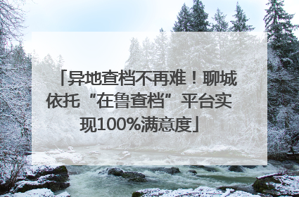 异地查档不再难！聊城依托“在鲁查档”平台实现100%满意度
