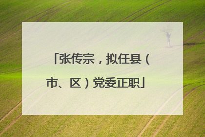 张传宗，拟任县（市、区）党委正职