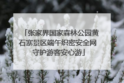 张家界国家森林公园黄石寨景区端午织密安全网 守护游客安心游