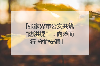 张家界市公安共筑“防洪堤”：向险而行 守护安澜