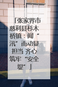 张家界市慈利县杉木桥镇：闻“汛”而动显担当 齐心筑牢“安全堤”