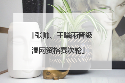 张帅、王曦雨晋级温网资格赛次轮
