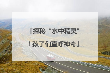 探秘“水中精灵”！孩子们直呼神奇