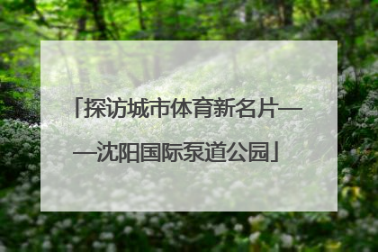 探访城市体育新名片——沈阳国际泵道公园