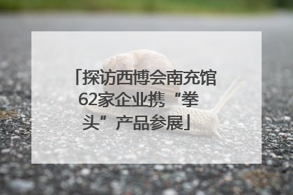 探访西博会南充馆 62家企业携“拳头”产品参展