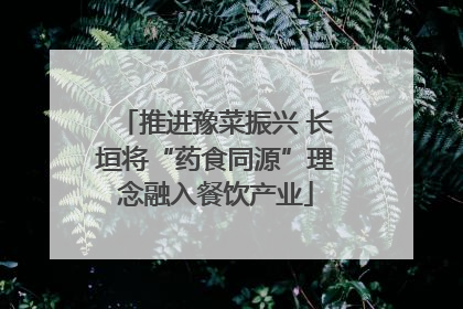 推进豫菜振兴 长垣将“药食同源”理念融入餐饮产业