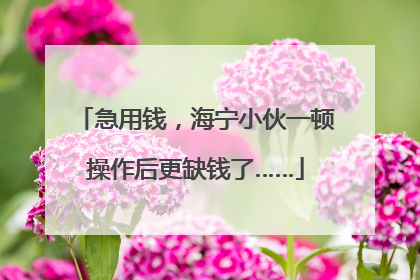 急用钱，海宁小伙一顿操作后更缺钱了……