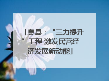 息县：“三力提升”工程 激发民营经济发展新动能