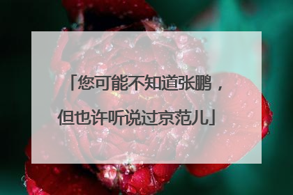 您可能不知道张鹏，但也许听说过京范儿