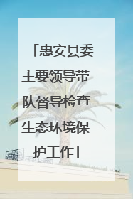 惠安县委主要领导带队督导检查生态环境保护工作