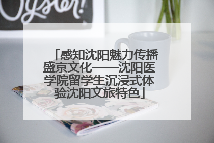 感知沈阳魅力传播盛京文化——沈阳医学院留学生沉浸式体验沈阳文旅特色