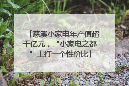 慈溪小家电年产值超千亿元，“小家电之都”主打一个性价比