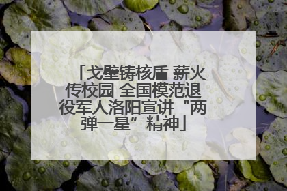 戈壁铸核盾 薪火传校园 全国模范退役军人洛阳宣讲“两弹一星”精神