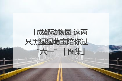 成都动物园 这两只黑猩猩萌宝陪你过“六一”｜图集