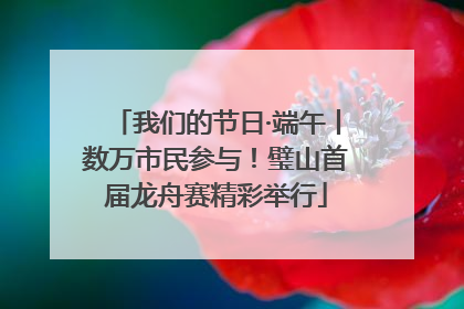 我们的节日·端午丨数万市民参与！璧山首届龙舟赛精彩举行