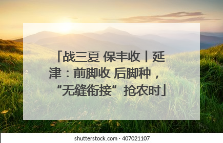 战三夏 保丰收丨延津：前脚收 后脚种，“无缝衔接”抢农时