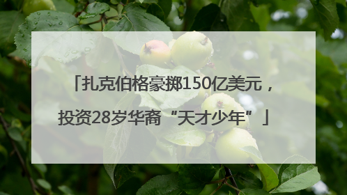 扎克伯格豪掷150亿美元，投资28岁华裔“天才少年”