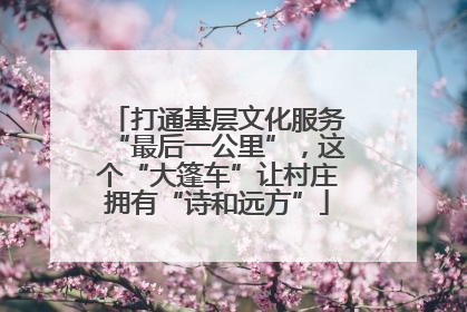 打通基层文化服务“最后一公里”，这个“大篷车”让村庄拥有“诗和远方”