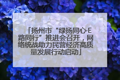 扬州市“绿扬同心·E路同行”推进会召开，网络统战助力民营经济高质量发展行动启动