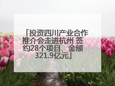 投资四川产业合作推介会走进杭州 签约28个项目、金额321.9亿元