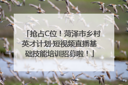 抢占C位！菏泽市乡村英才计划·短视频直播基础技能培训招募啦！