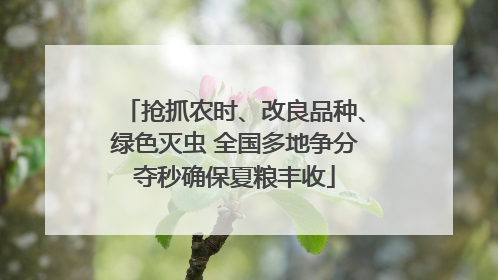 抢抓农时、改良品种、绿色灭虫 全国多地争分夺秒确保夏粮丰收