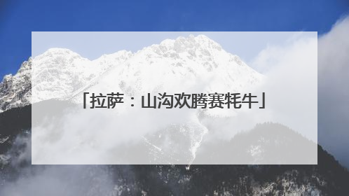 拉萨：山沟欢腾赛牦牛