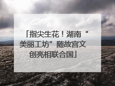 指尖生花！湖南“美丽工坊”随故宫文创亮相联合国