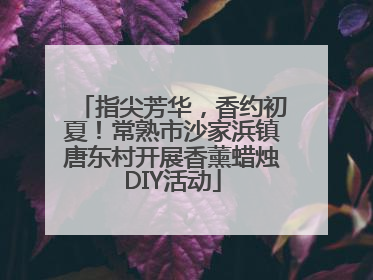 指尖芳华，香约初夏！常熟市沙家浜镇唐东村开展香薰蜡烛DIY活动