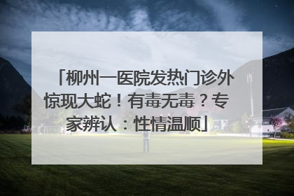 柳州一医院发热门诊外惊现大蛇！有毒无毒？专家辨认：性情温顺