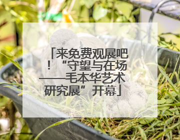 来免费观展吧！“守望与在场——毛本华艺术研究展”开幕