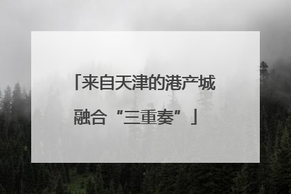 来自天津的港产城融合“三重奏”