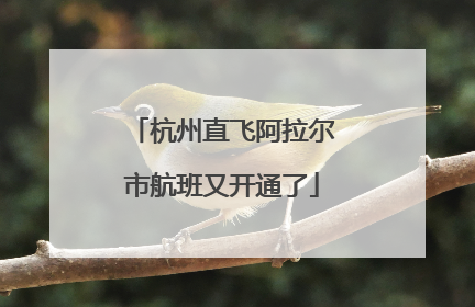 杭州直飞阿拉尔市航班又开通了