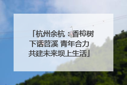 杭州余杭：香樟树下话苕溪 青年合力共建未来坝上生活
