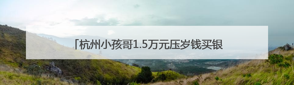 杭州小孩哥1.5万元压岁钱买银行股，4个月过去赚了还是亏了？