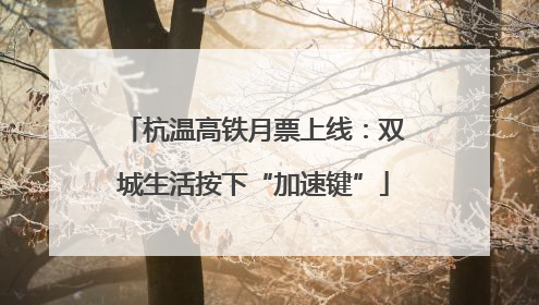 杭温高铁月票上线：双城生活按下“加速键”