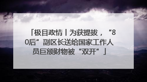 极目政情丨为获提拔，“80后”副区长送给国家工作人员巨额财物被“双开”