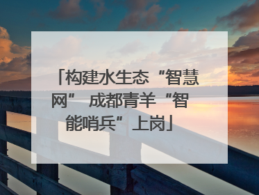 构建水生态“智慧网” 成都青羊“智能哨兵”上岗