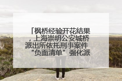 枫桥经验开花结果，上海崇明公安城桥派出所依托刑事案件“负面清单”强化派出所“主防”